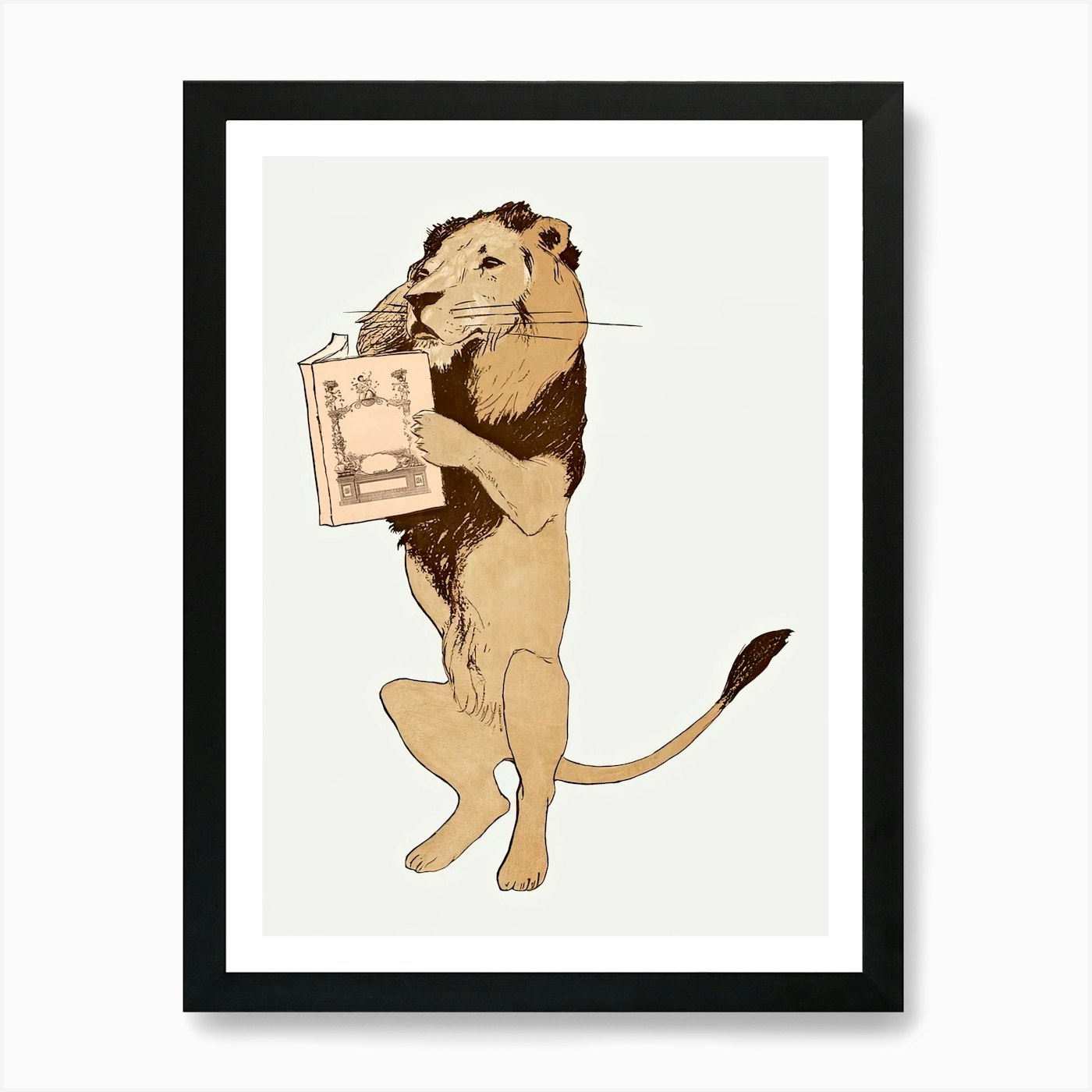 Lion Reading A Book Vintage Illustr Framed Wall Art Poster Canvas Print Picture