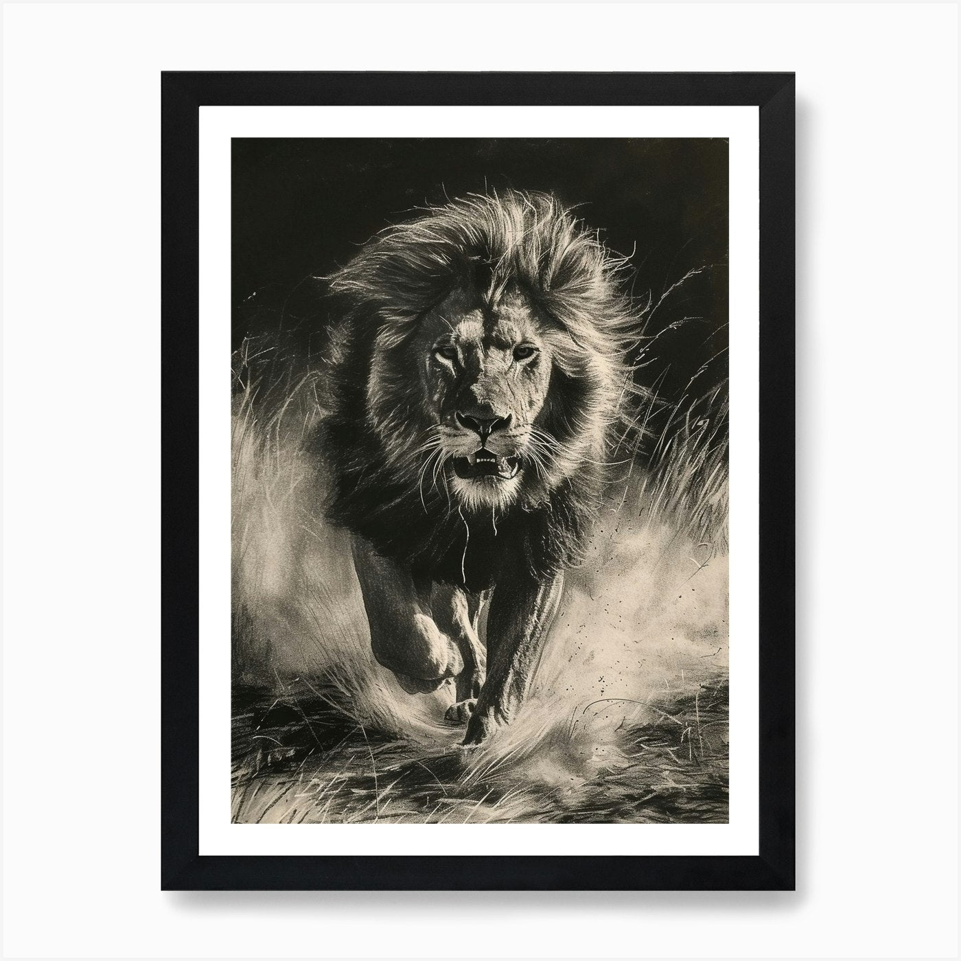 Barbary Lion Charcoal Drawing Hunti Framed Wall Art Poster Canvas Print Picture