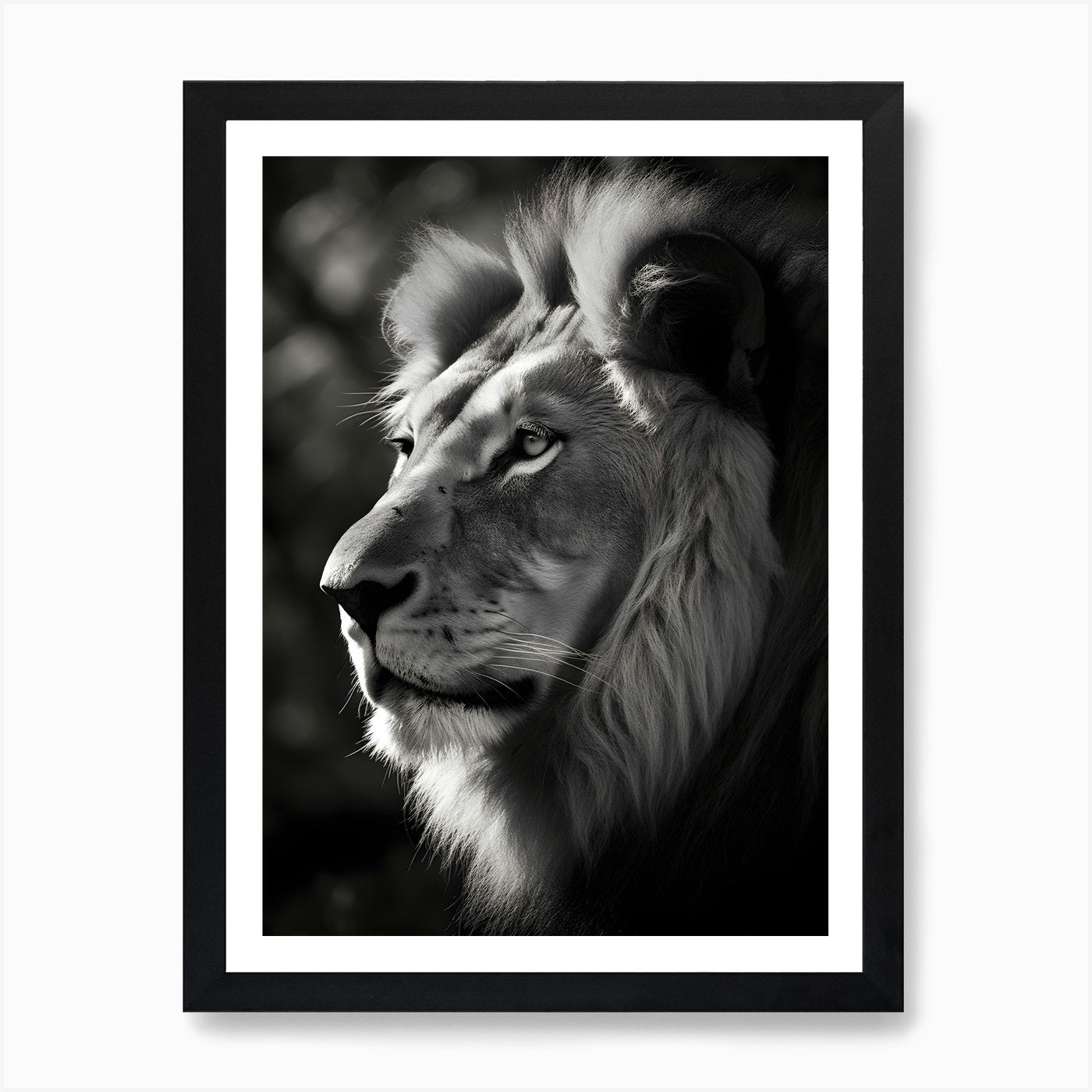 Portrait Of A Lion Art Print Framed Wall Art Poster Canvas Print Picture