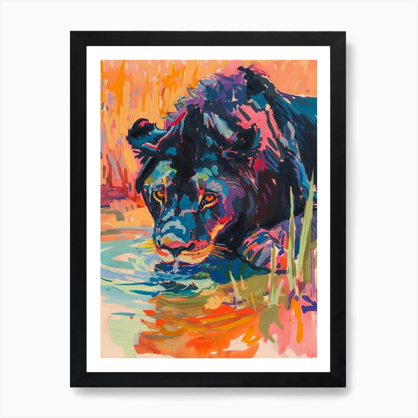 Black Lion Drinking From A Watering Framed Wall Art Poster Canvas Print Picture