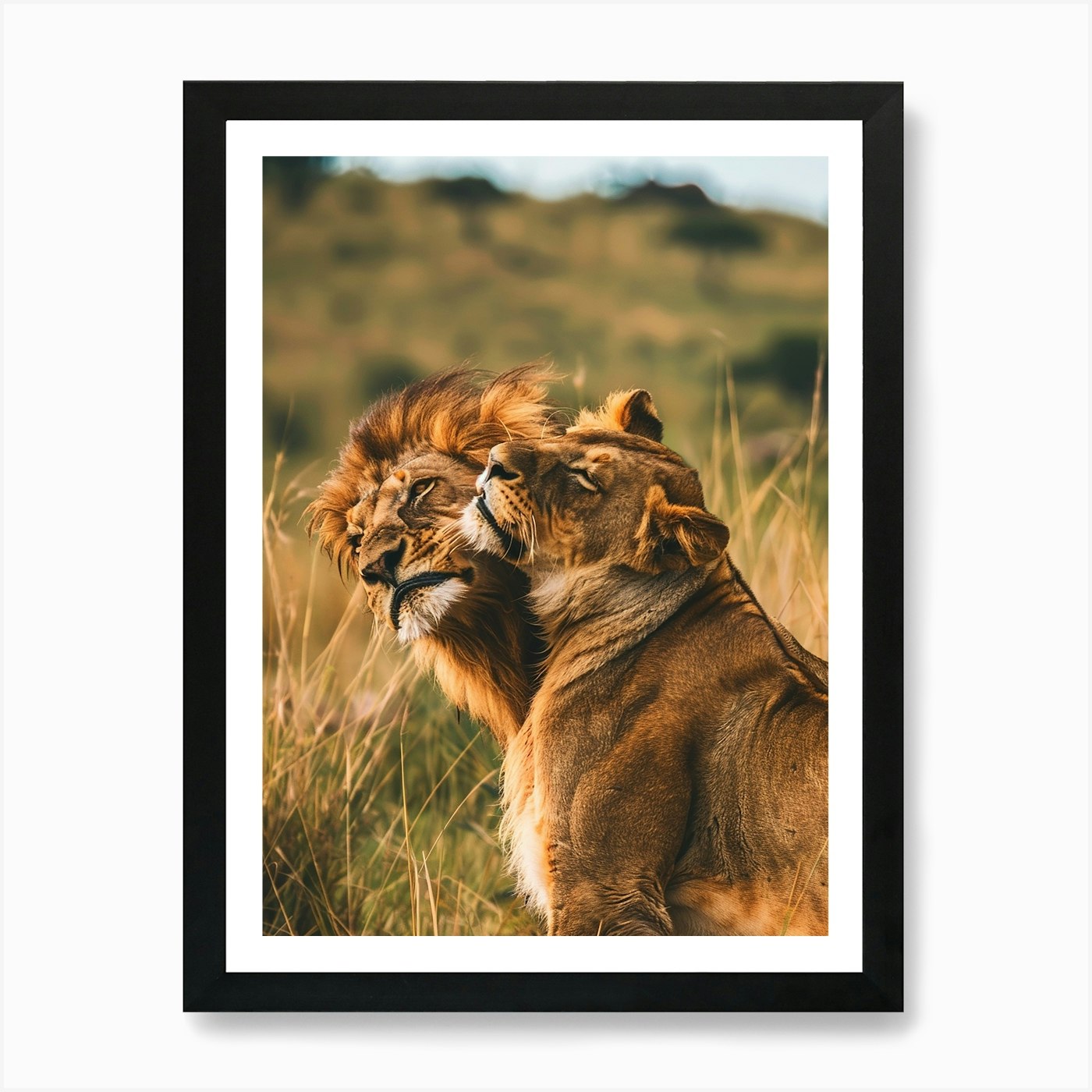 Lions In The Grass Art Print Framed Wall Art Poster Canvas Print Picture