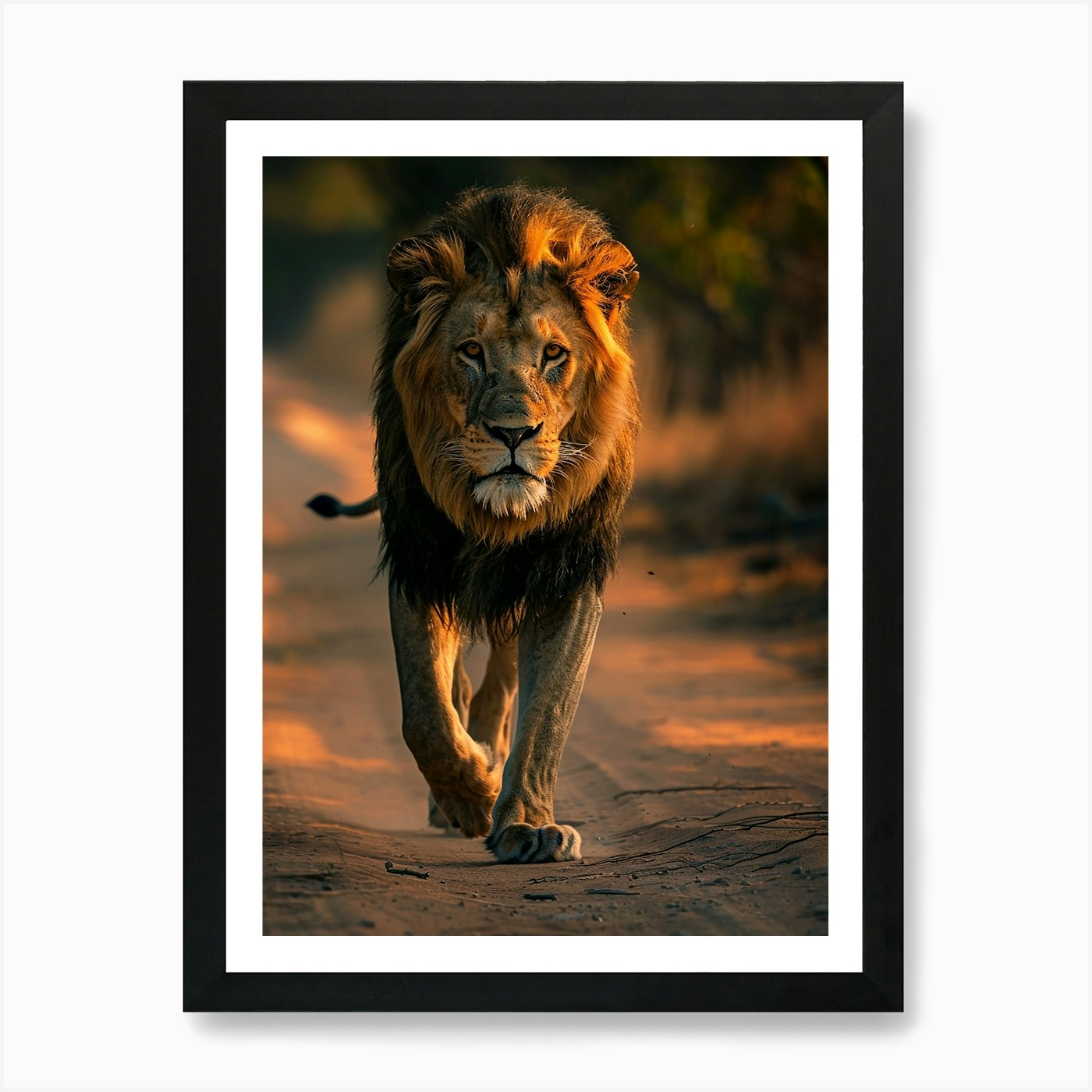 Lion Walking Art Print Framed Wall Art Poster Canvas Print Picture