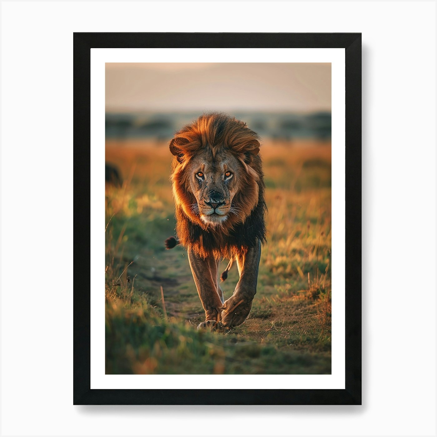 Lion In The Savannah Art Print Framed Wall Art Poster Canvas Print Picture
