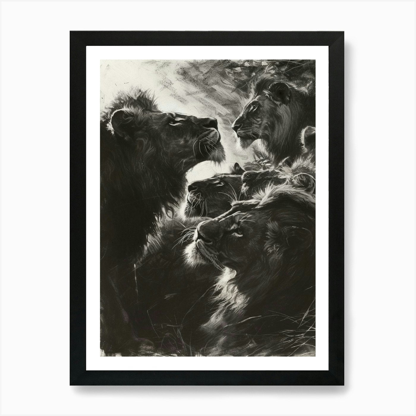 Barbary Lion Charcoal Drawing Inter Framed Wall Art Poster Canvas Print Picture