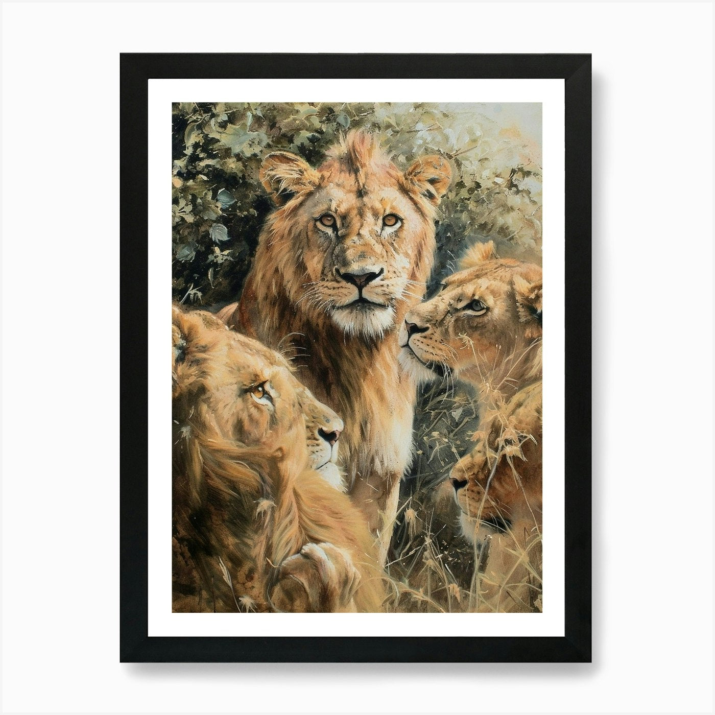 Barbary Lion Acrylic Painting 6 Art Framed Wall Art Poster Canvas Print Picture