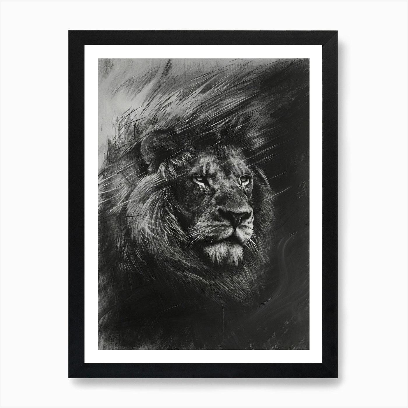 Barbary Lion Charcoal Drawing Facin Framed Wall Art Poster Canvas Print Picture