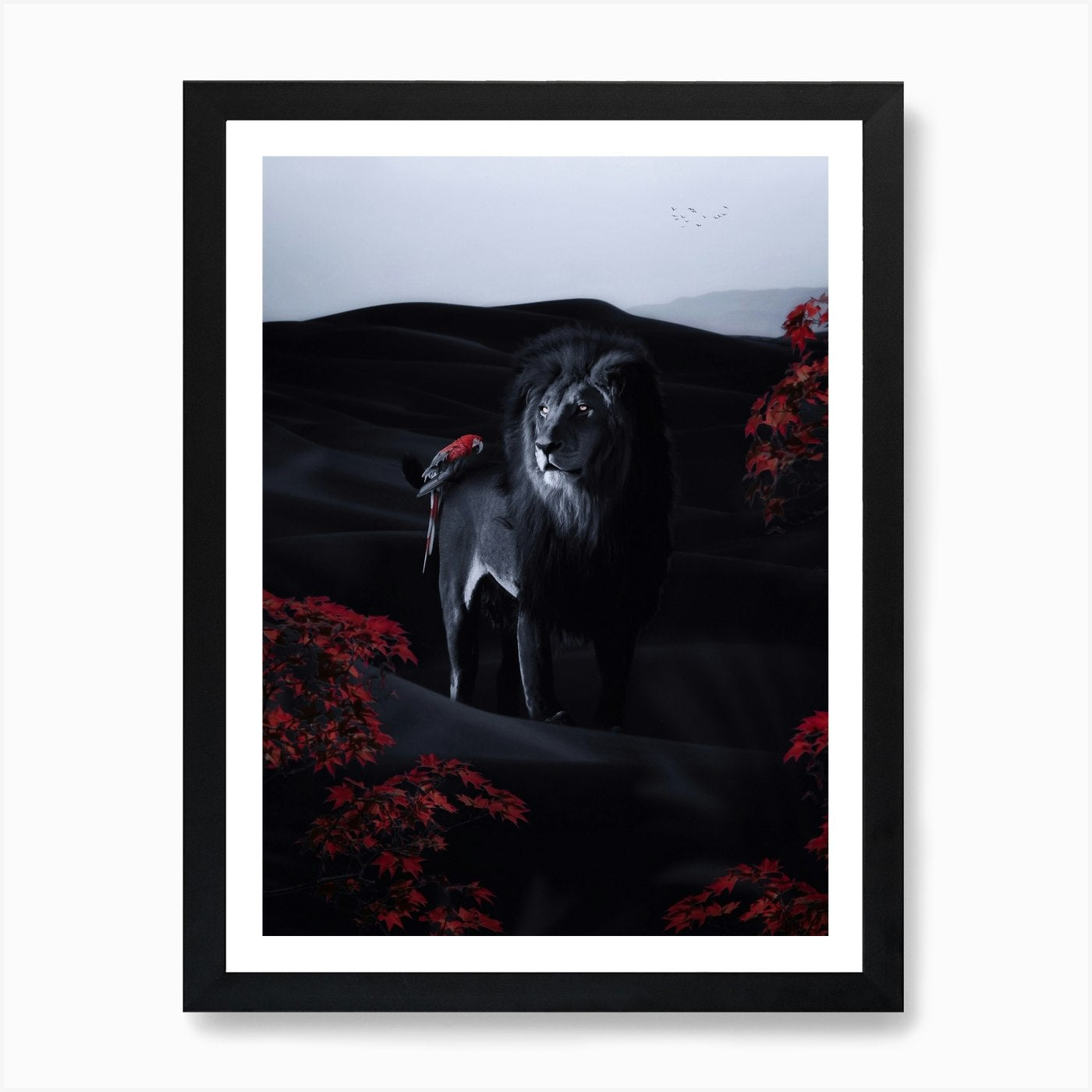 Black Lion And Parrot In Dak Desert Framed Wall Art Poster Canvas Print Picture
