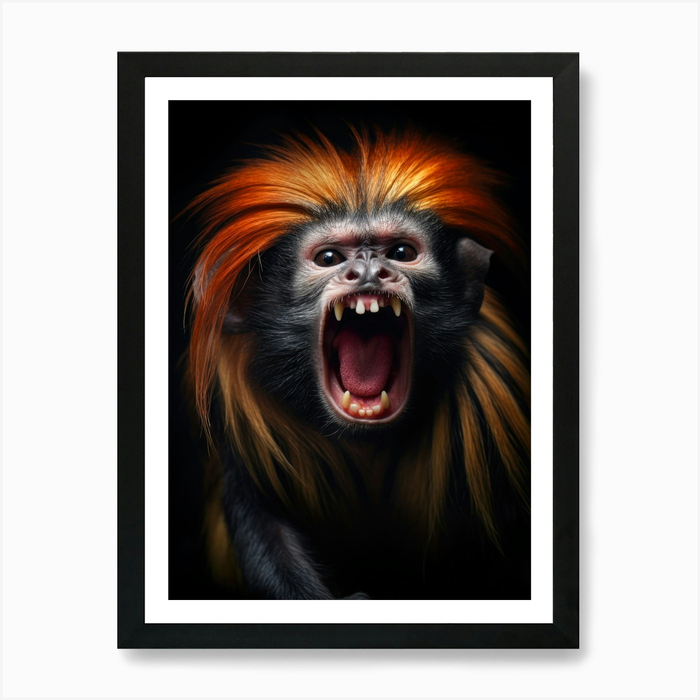 Golden Headed Lion Tamarin 1 Art Pr Framed Wall Art Poster Canvas Print Picture