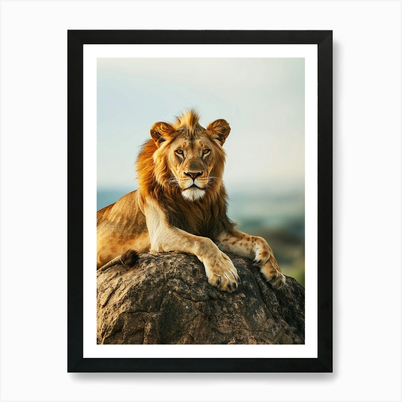 Lion On A Rock Art Print Framed Wall Art Poster Canvas Print Picture