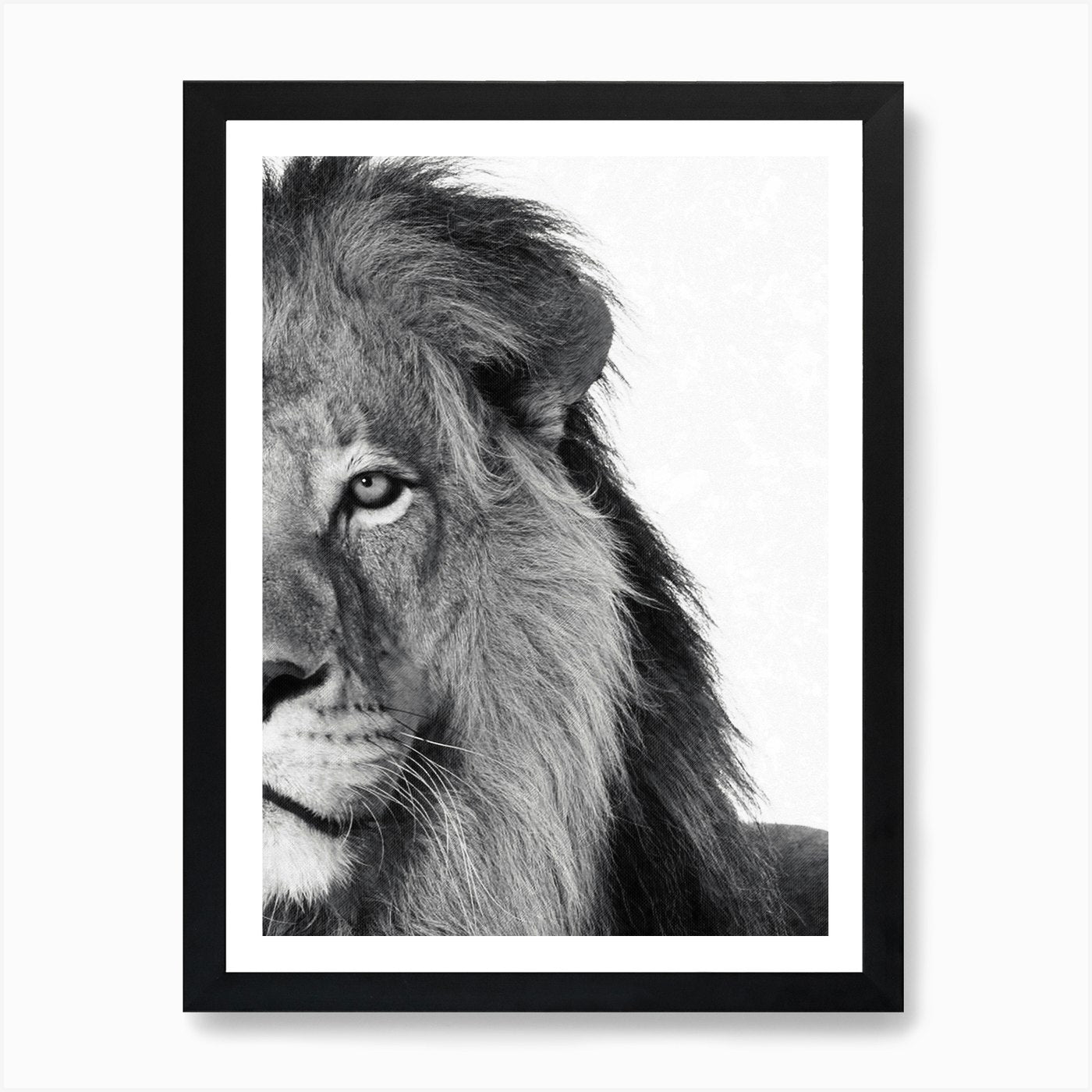 Lion Art Print Framed Wall Art Poster Canvas Print Picture