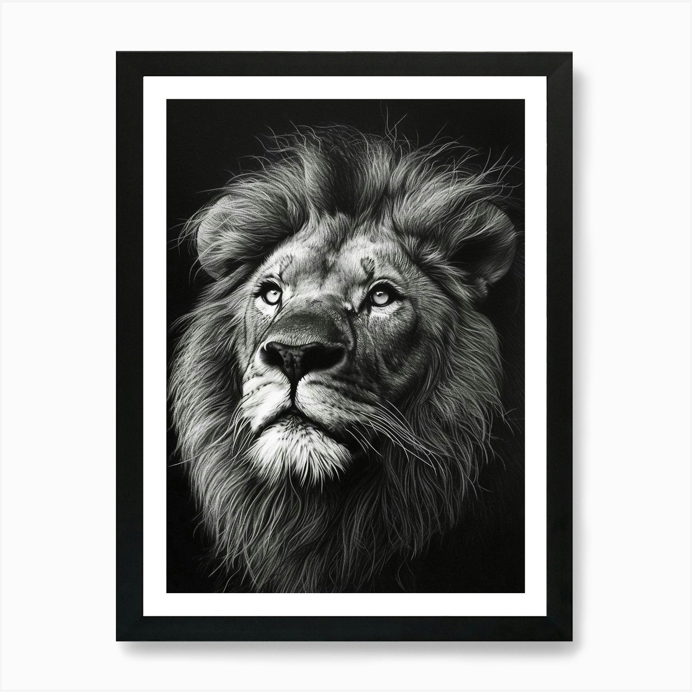 Barbary Lion Charcoal Drawing Portr Framed Wall Art Poster Canvas Print Picture