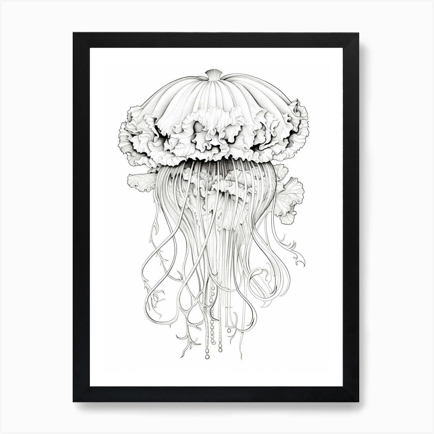 Lions Mane Jellyfish Drawing3 Art P Framed Wall Art Poster Canvas Print Picture