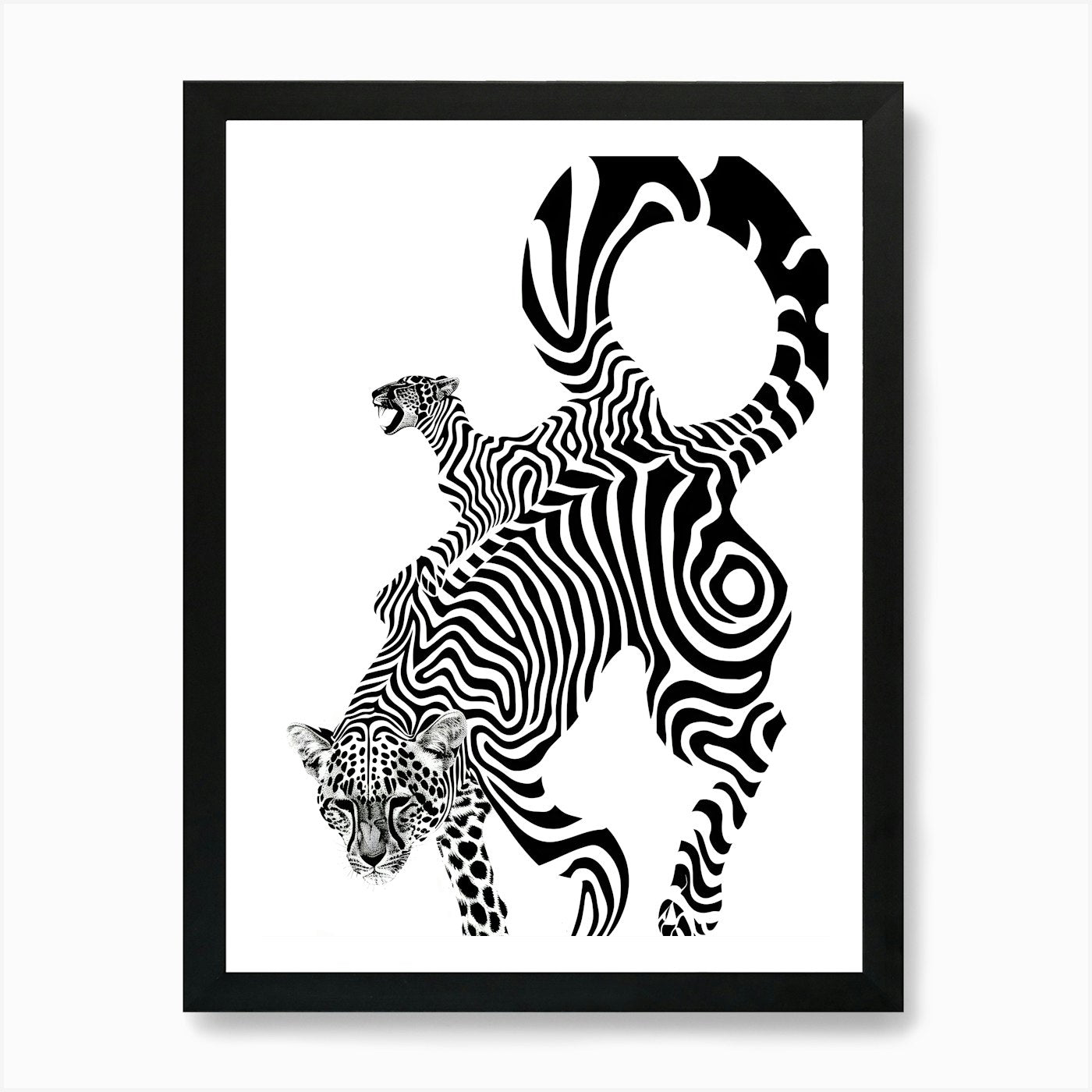 Zebra And Lion 1 Art Print Framed Wall Art Poster Canvas Print Picture