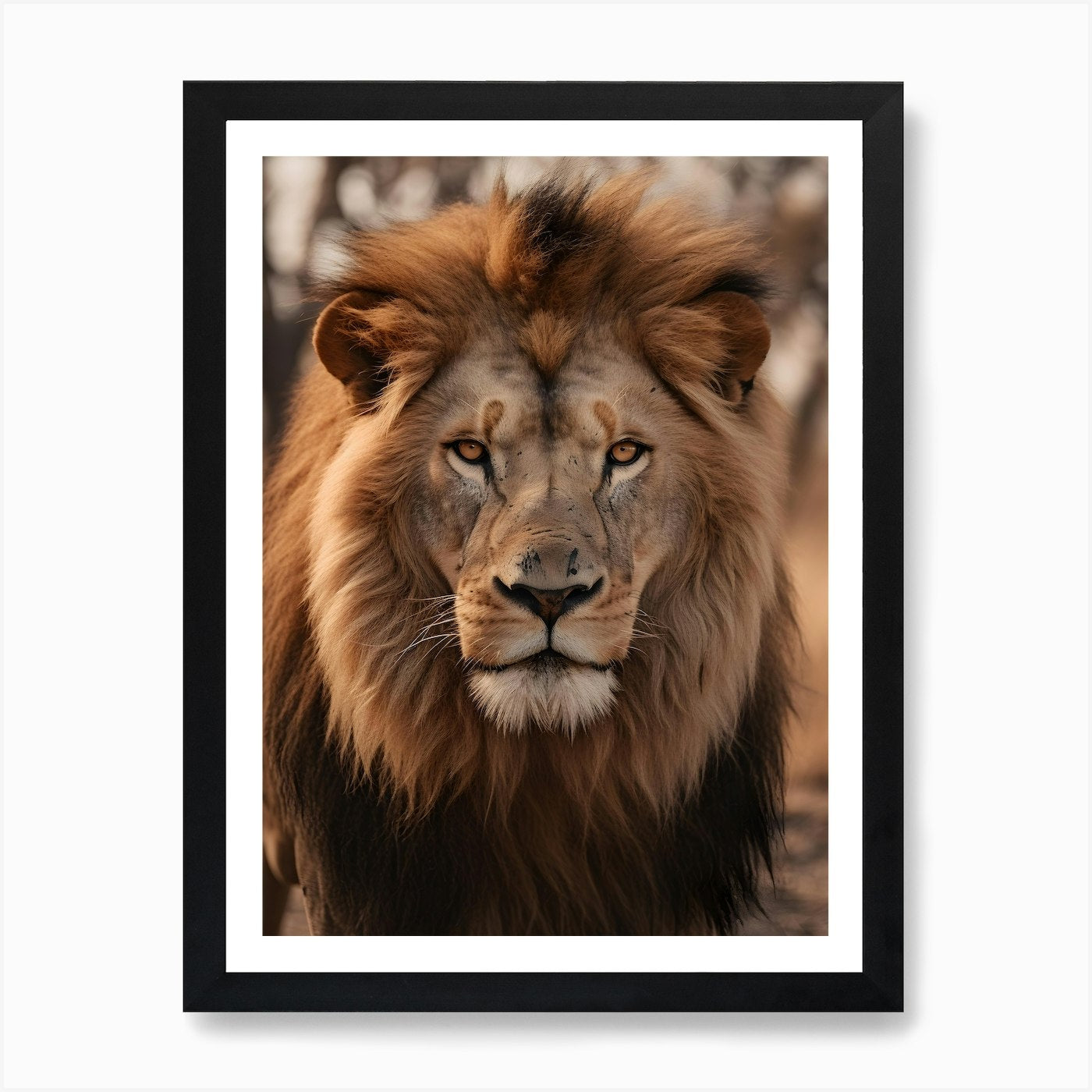 Portrait Of A Lion V1 Art Print Framed Wall Art Poster Canvas Print Picture