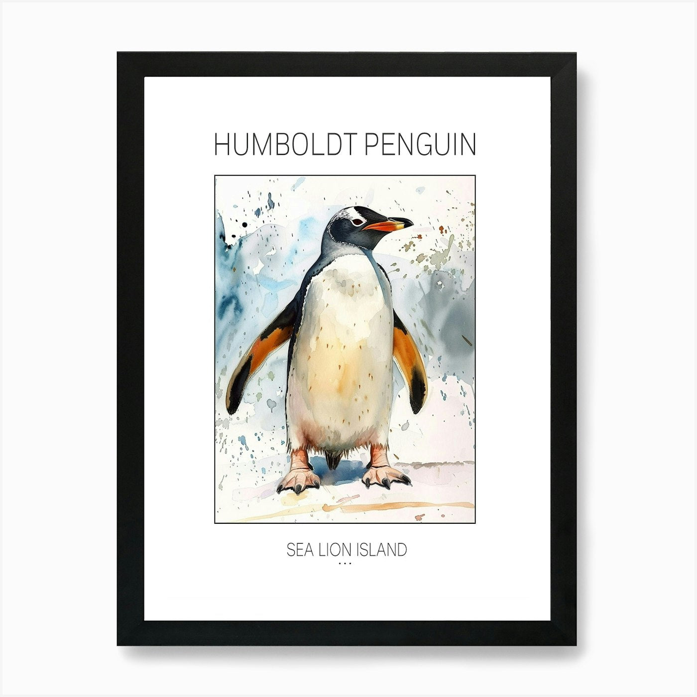 Humboldt Penguin Sea Lion Island Wa Framed Wall Art Poster Canvas Print Picture
