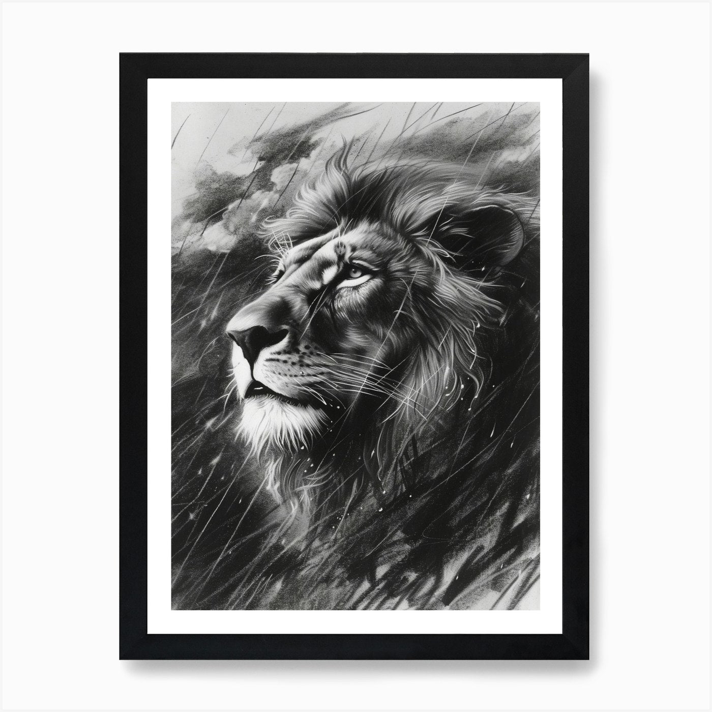 African Lion Charcoal Drawing Facin Framed Wall Art Poster Canvas Print Picture