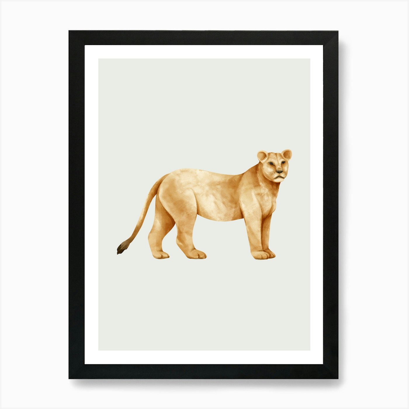 Lion. Art Print Framed Wall Art Poster Canvas Print Picture