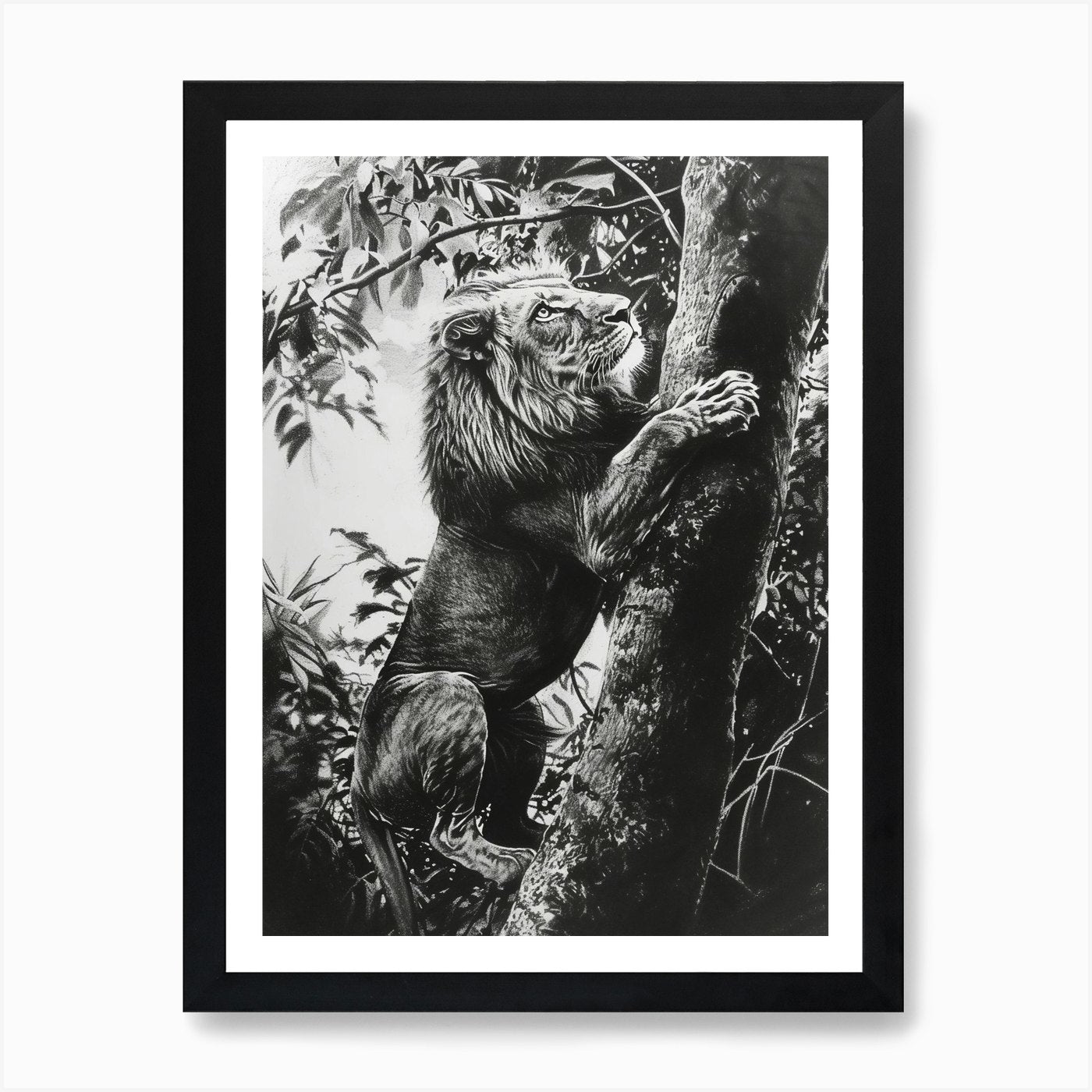African Lion Charcoal Drawing Climb Framed Wall Art Poster Canvas Print Picture