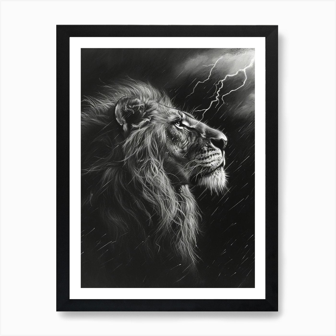 African Lion Charcoal Drawing Facin Framed Wall Art Poster Canvas Print Picture