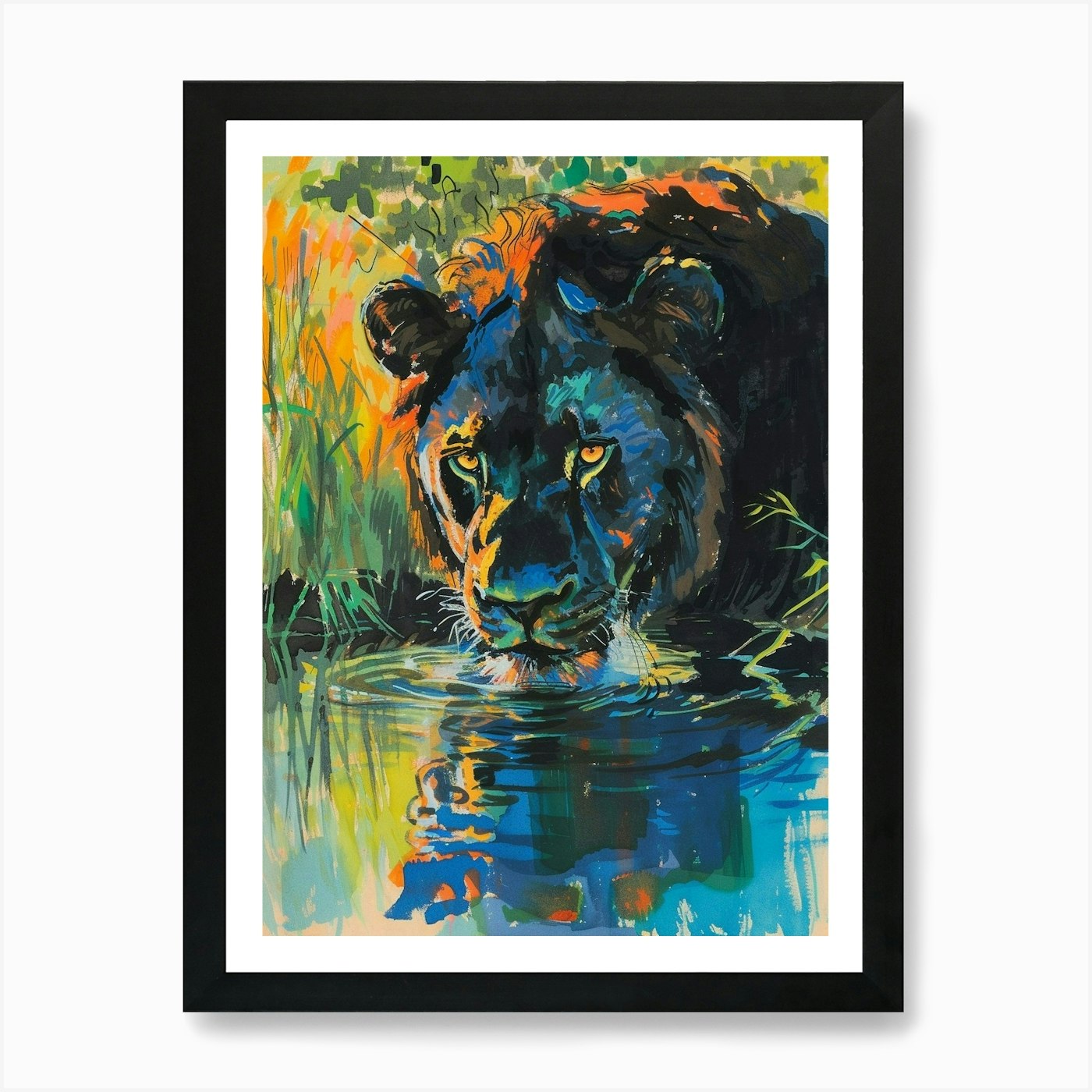 Black Lion Drinking From A Watering Framed Wall Art Poster Canvas Print Picture