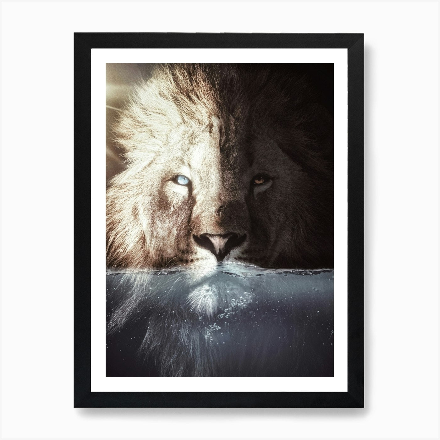 The King Lion In His Bath Art Print Framed Wall Art Poster Canvas Print Picture