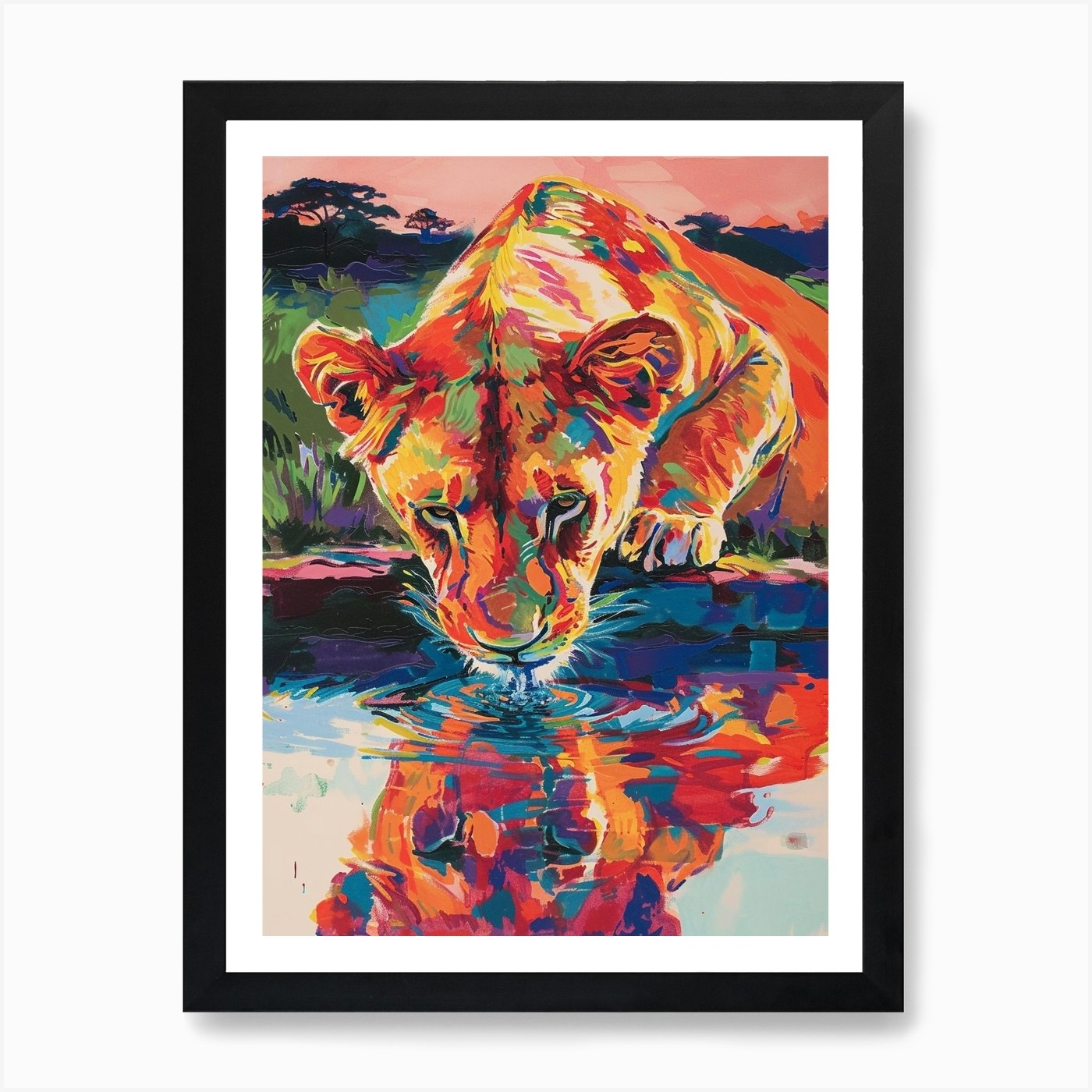 Transvaal Lion Drinking From A Wate Framed Wall Art Poster Canvas Print Picture