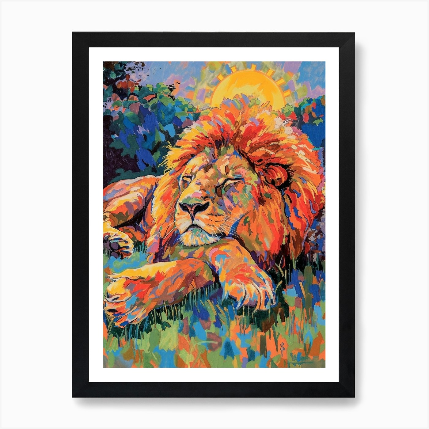 Transvaal Lion Resting In The Sun F Framed Wall Art Poster Canvas Print Picture