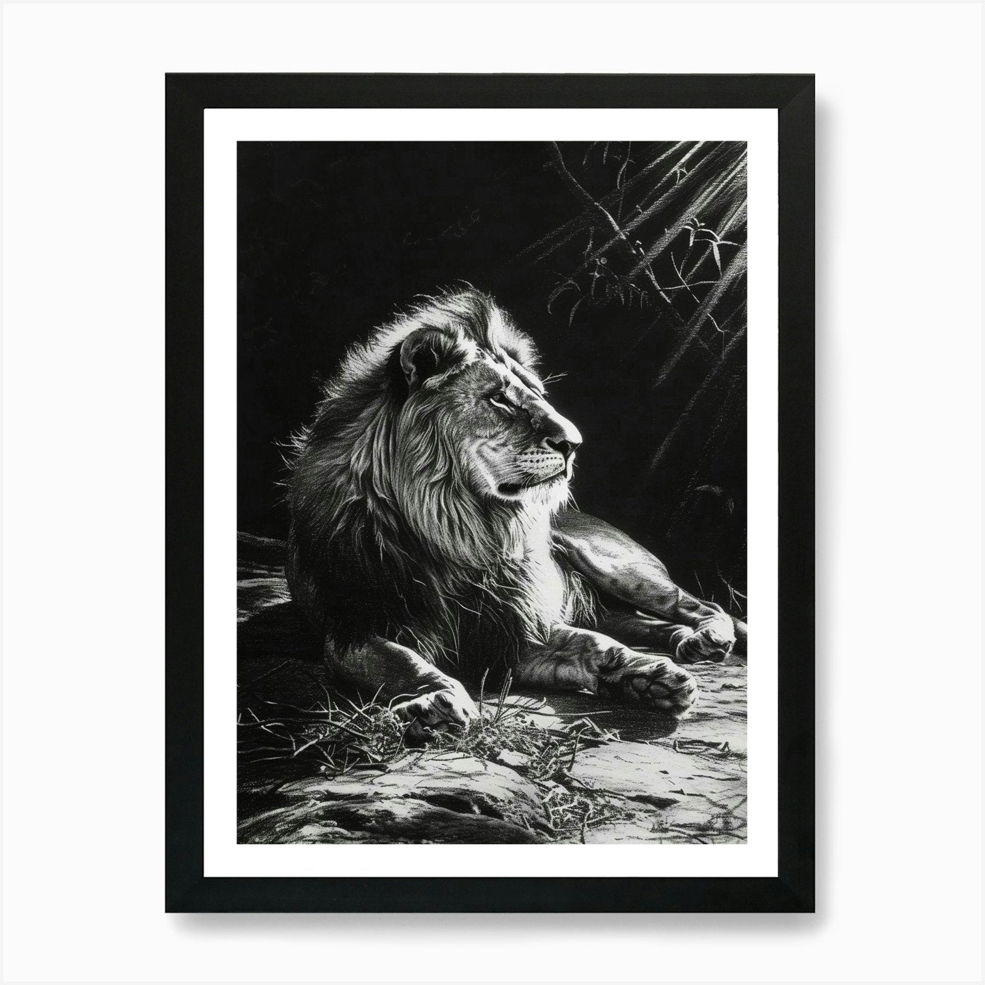 Barbary Lion Charcoal Drawing Resti Framed Wall Art Poster Canvas Print Picture