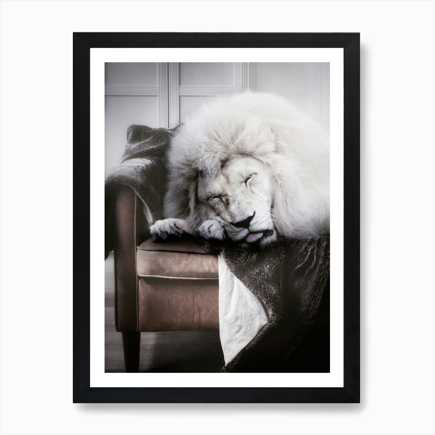 White Lion Sleeping On Sofa 1 Art P Framed Wall Art Poster Canvas Print Picture