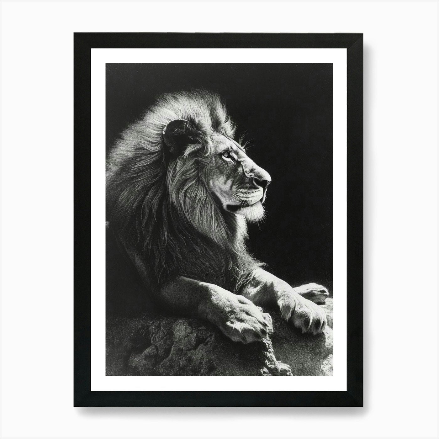 Barbary Lion Charcoal Drawing Resti Framed Wall Art Poster Canvas Print Picture