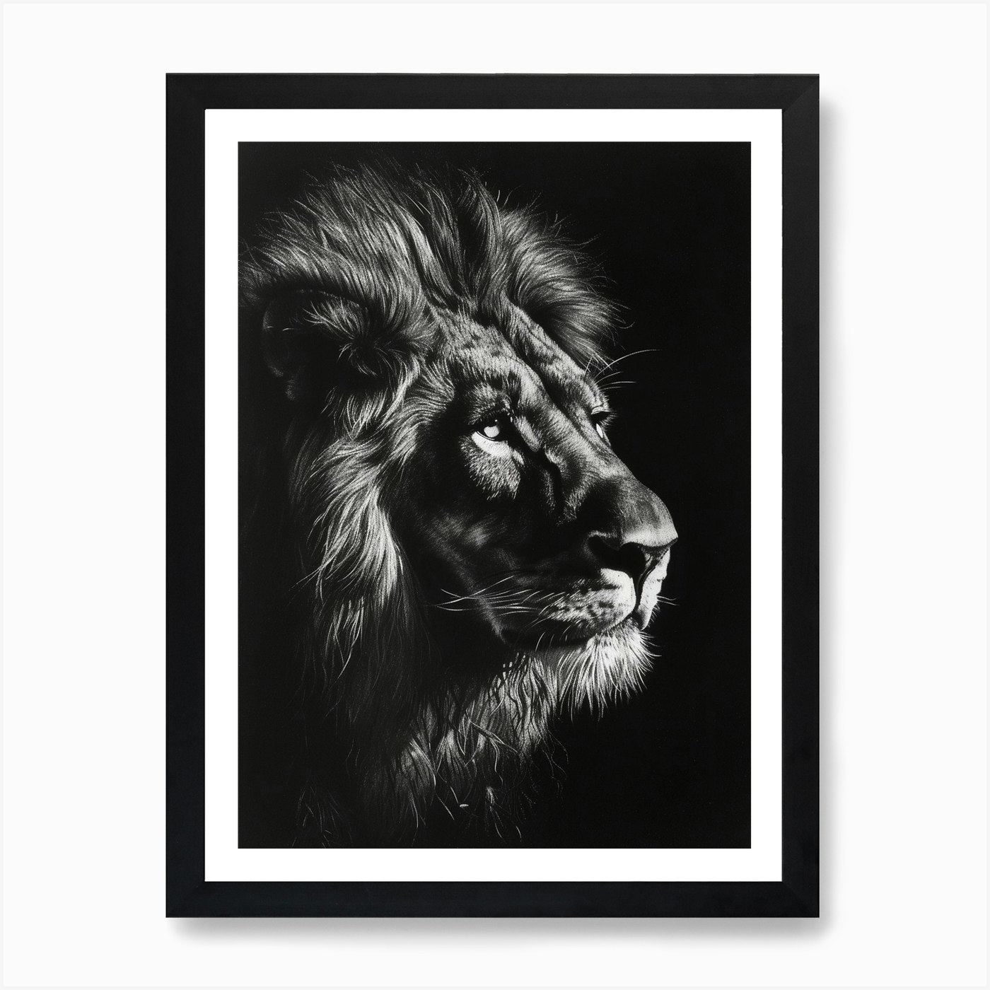 Barbary Lion Charcoal Drawing Night Framed Wall Art Poster Canvas Print Picture