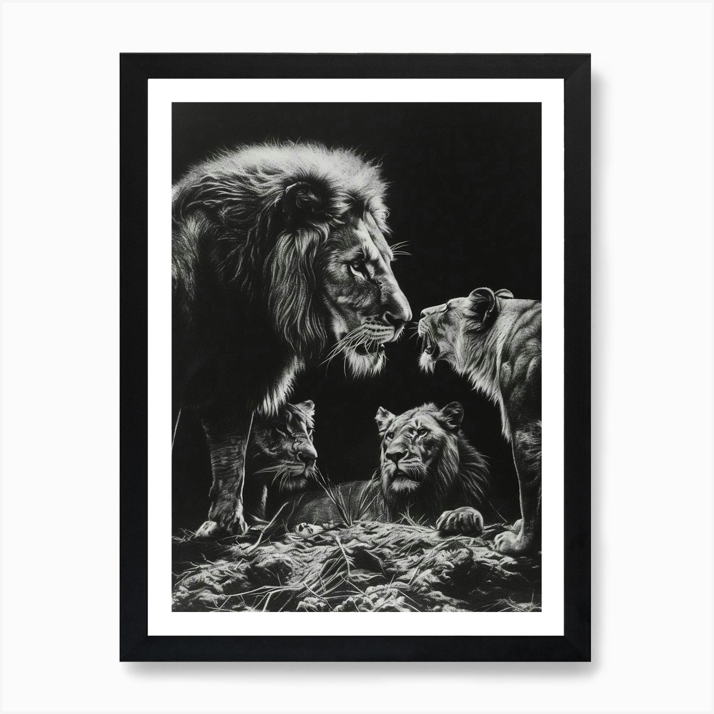 Barbary Lion Charcoal Drawing Inter Framed Wall Art Poster Canvas Print Picture