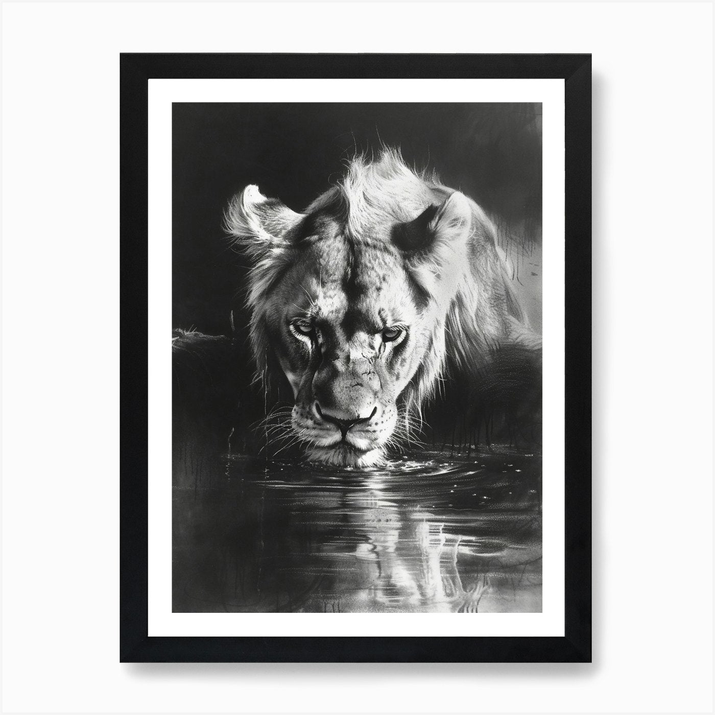 African Lion Charcoal Drawing Drink Framed Wall Art Poster Canvas Print Picture