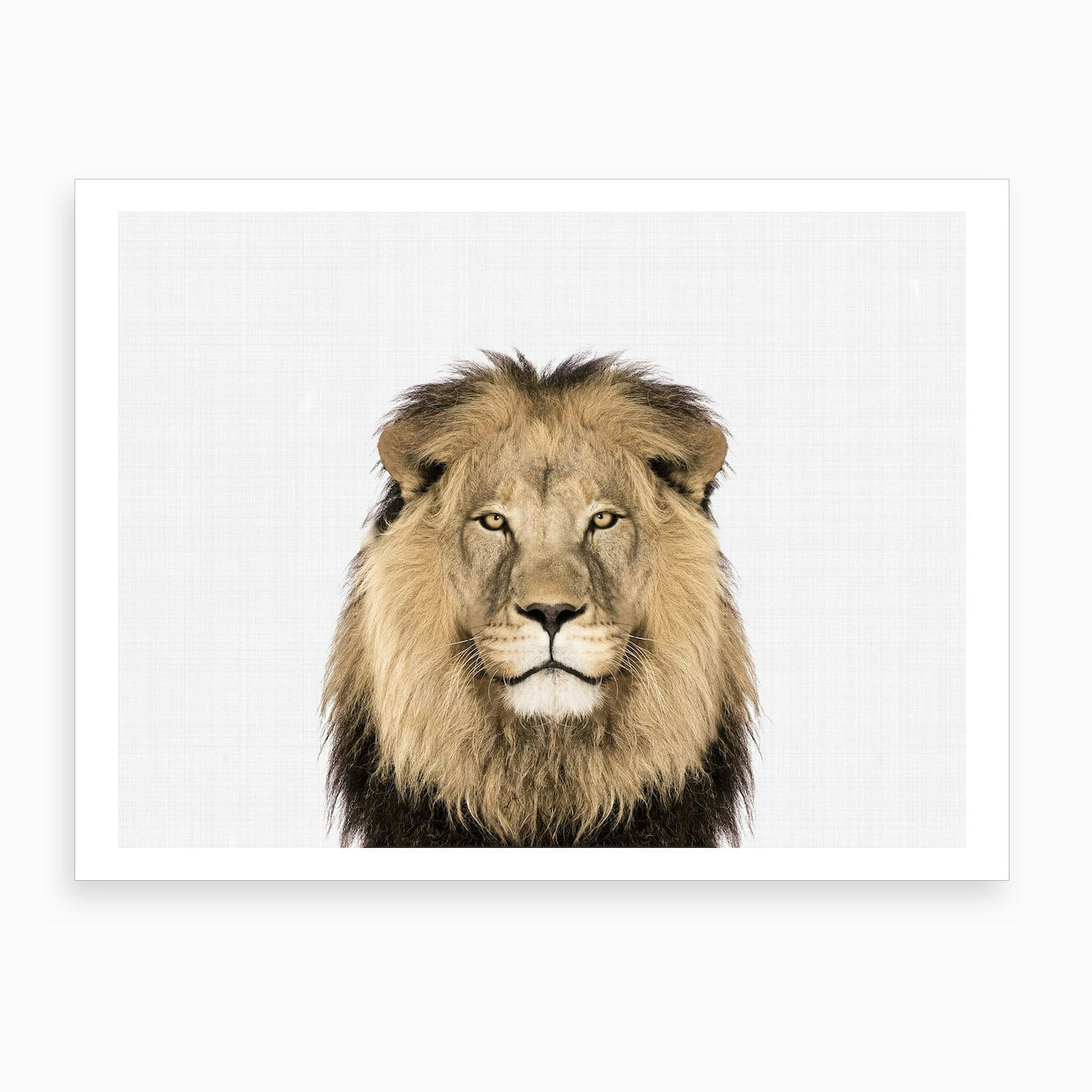 Lion X Art Print Framed Wall Art Poster Canvas Print Picture
