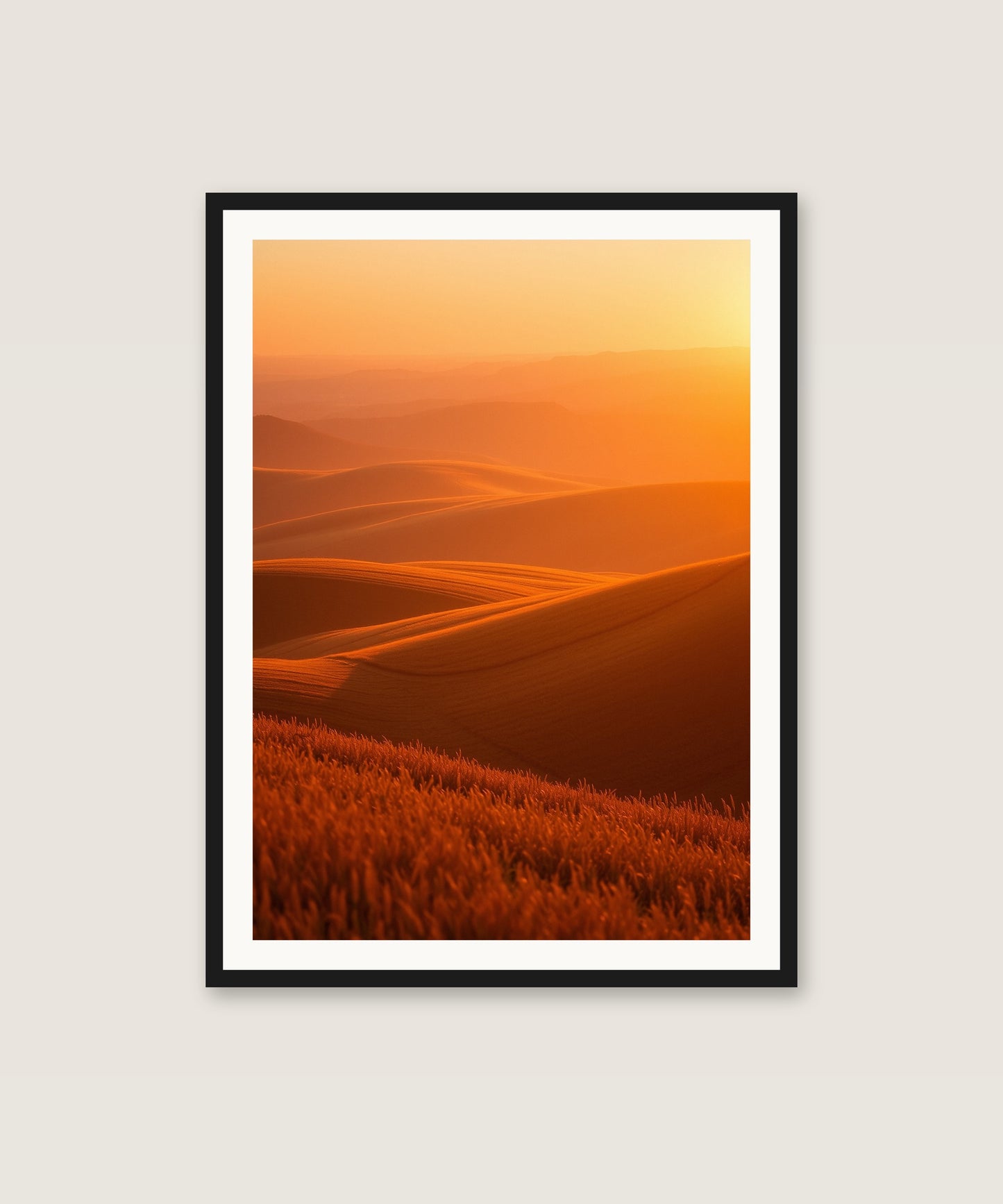 Sunset Fields