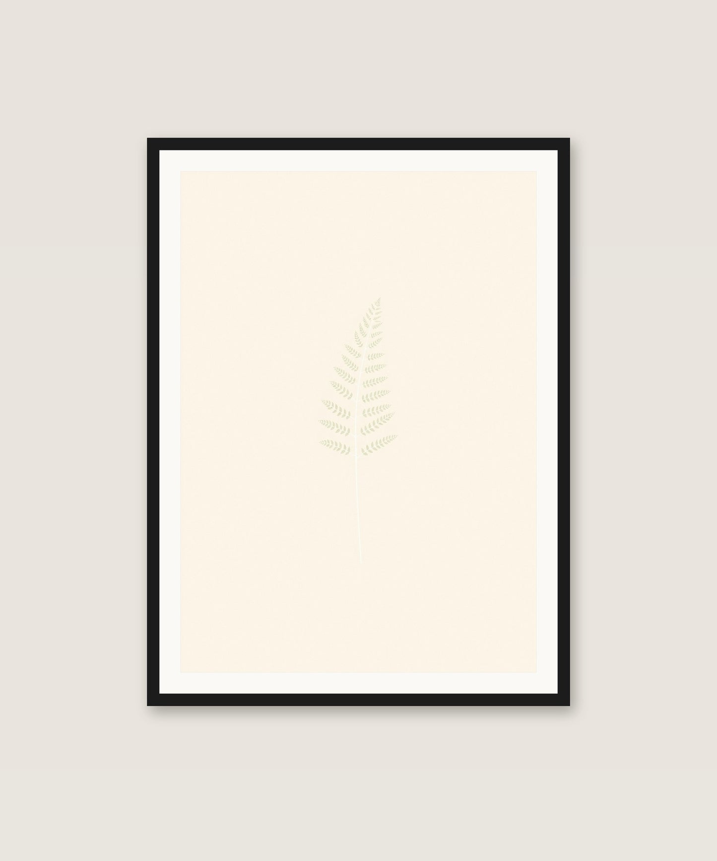 Sage Fern