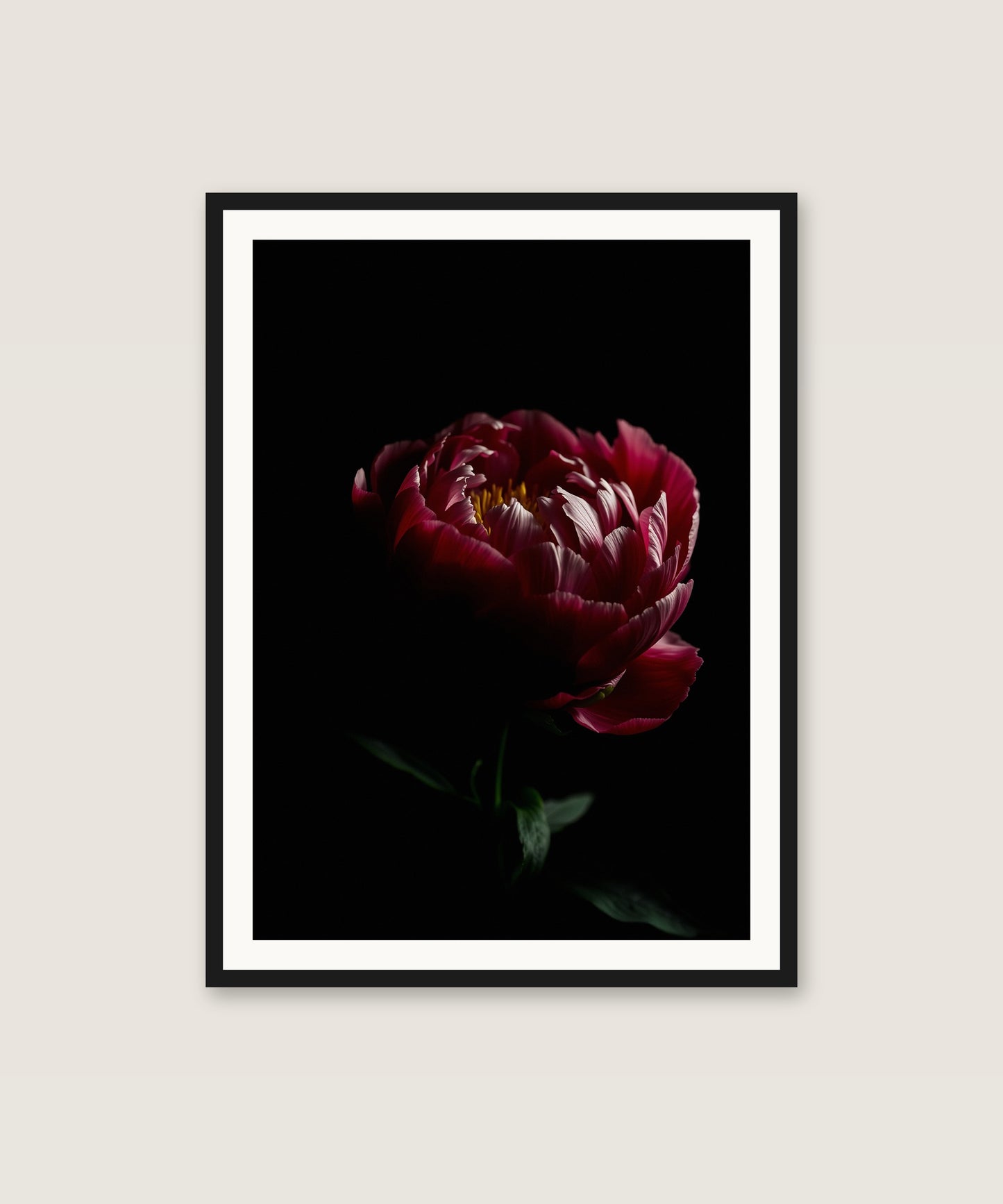 Moody Peony