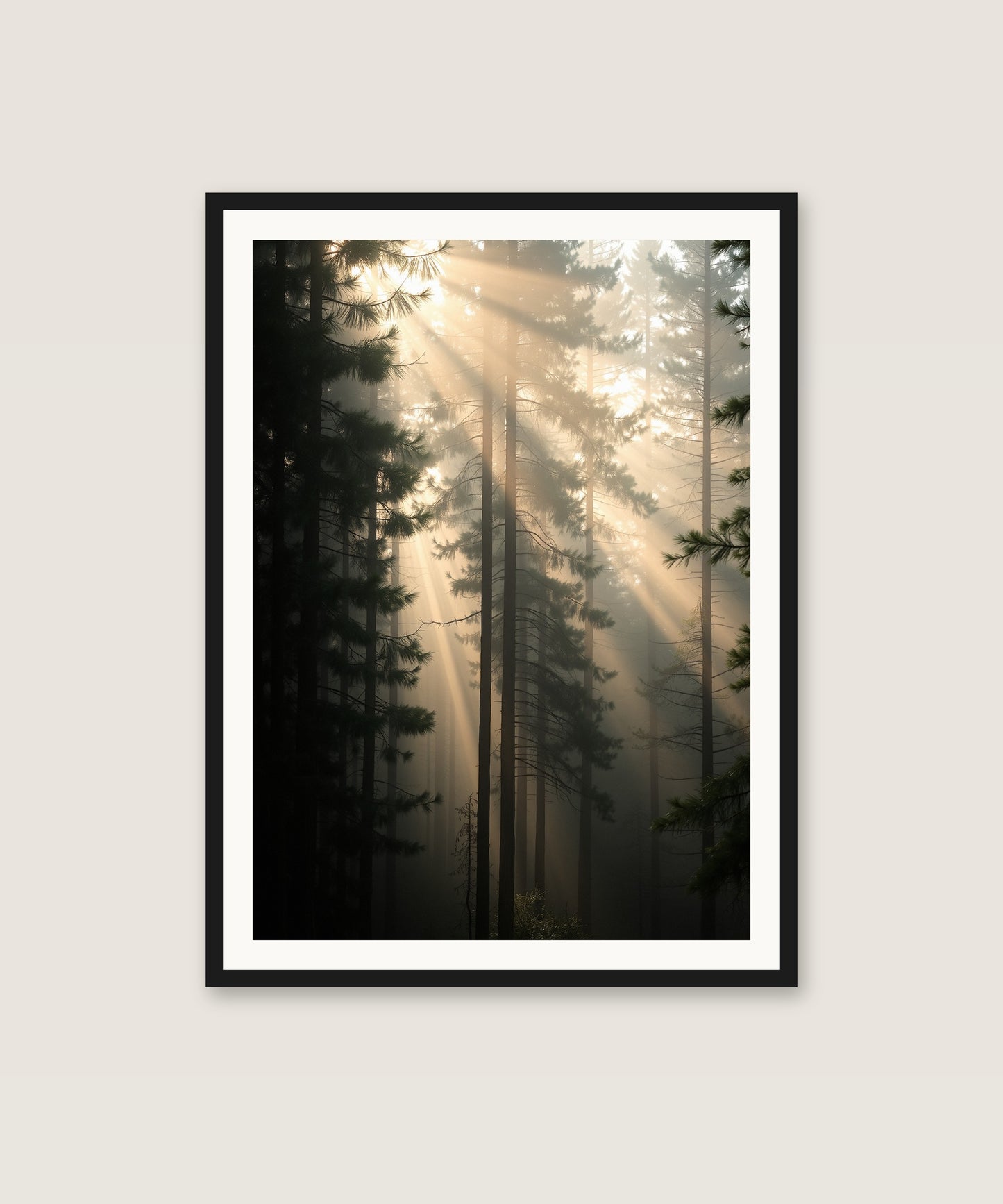 Foggy Pines