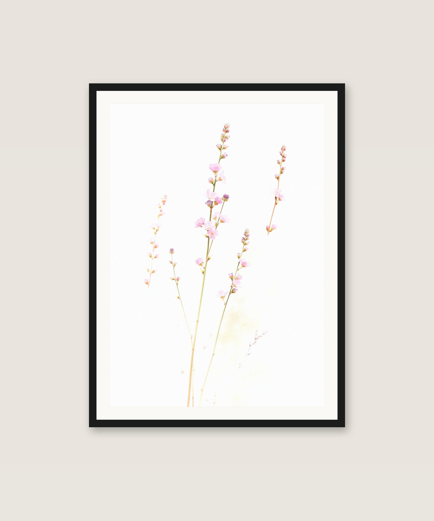 Wildflower Stems