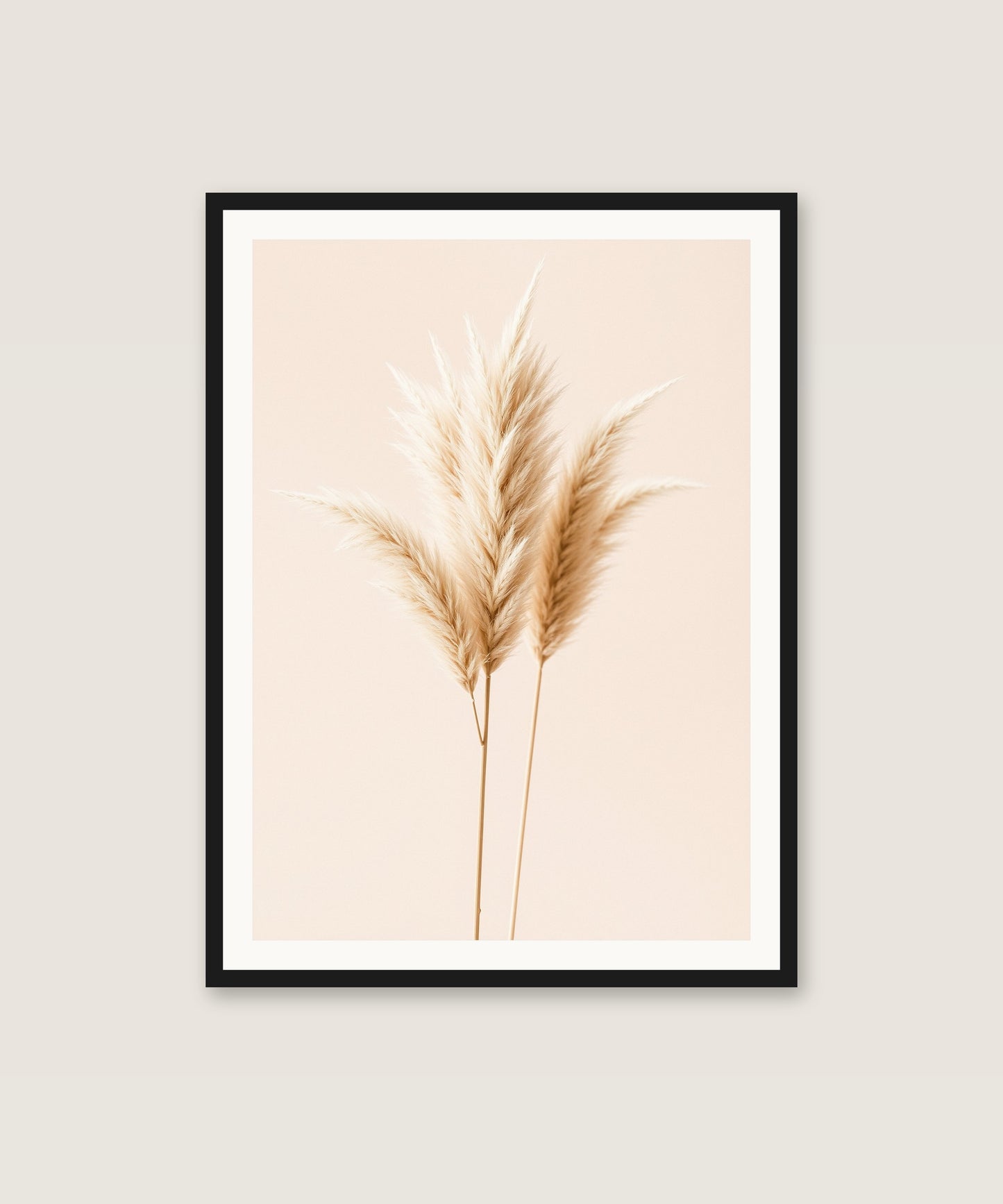 Pampas