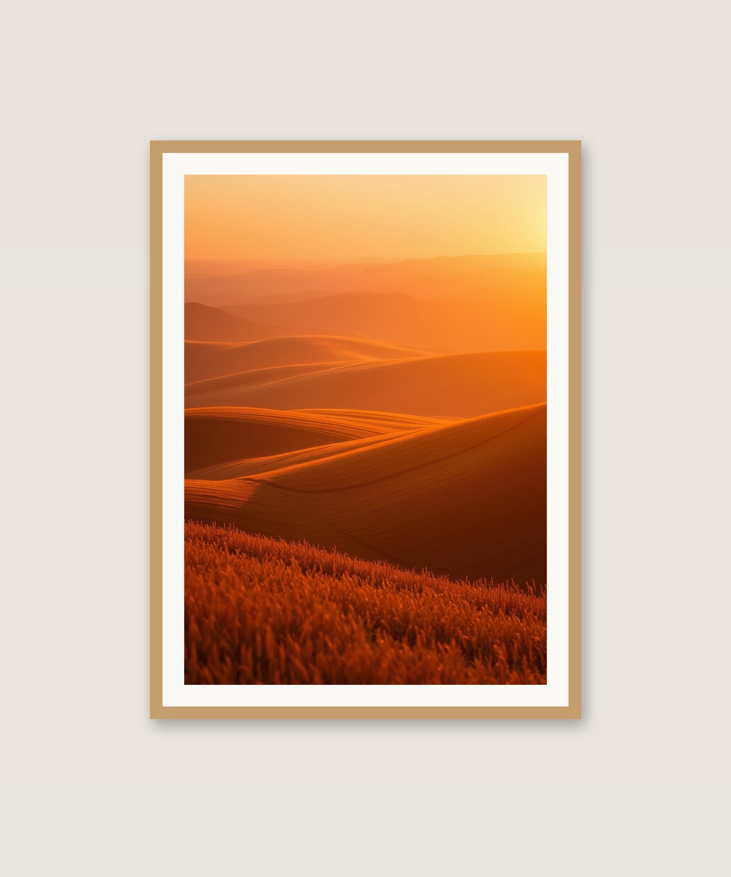 Sunset Fields