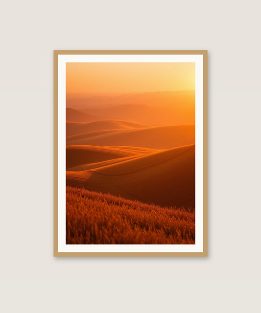 Sunset Fields