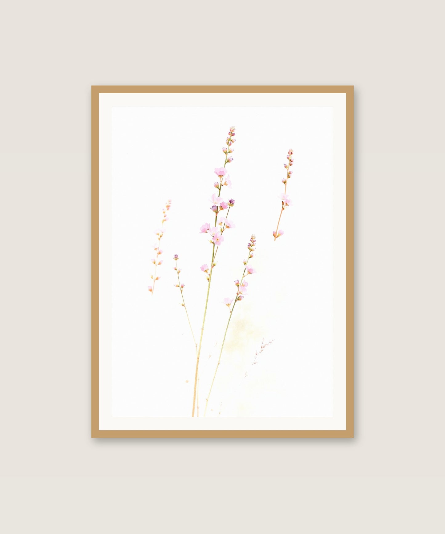 Wildflower Stems