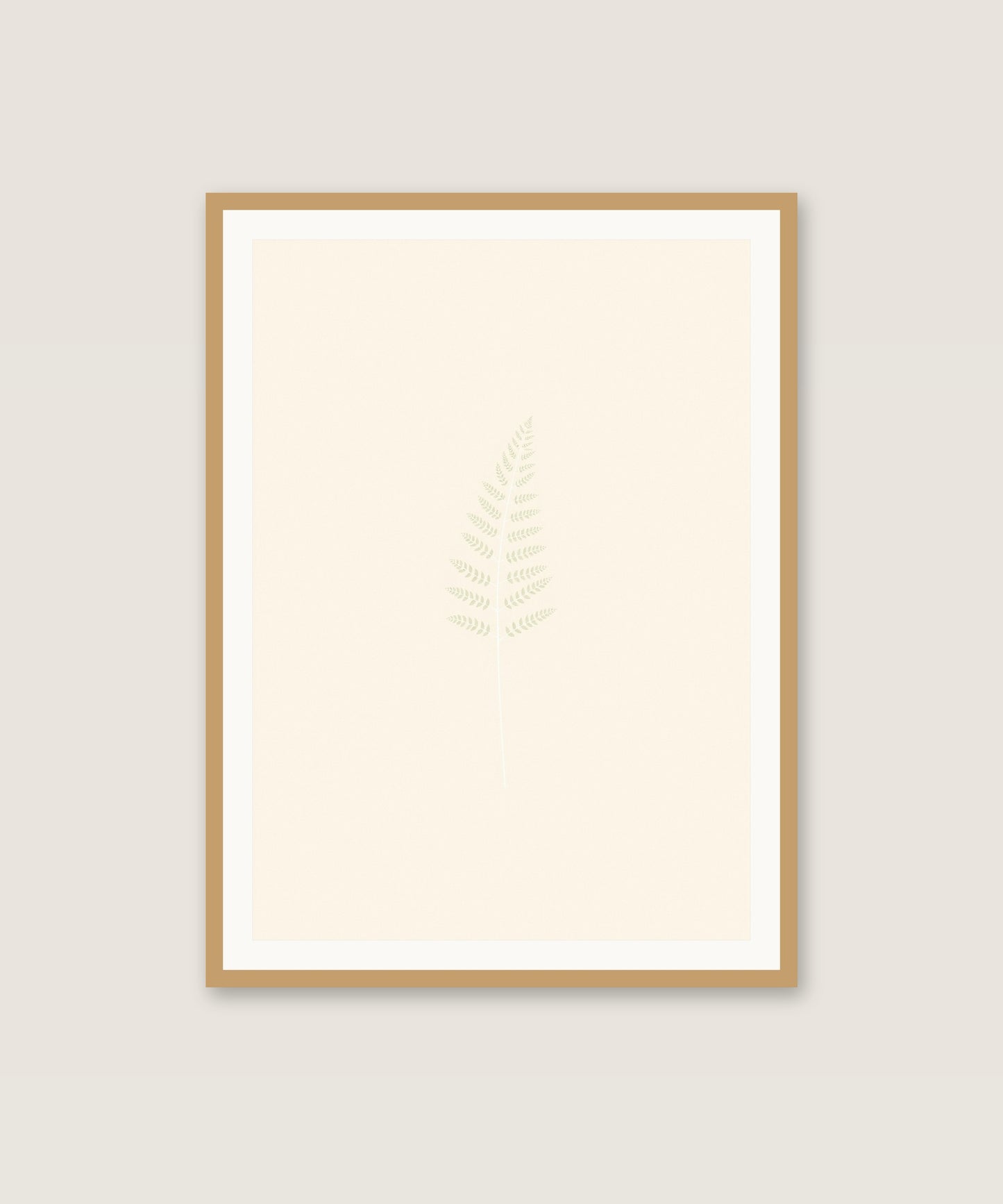 Sage Fern
