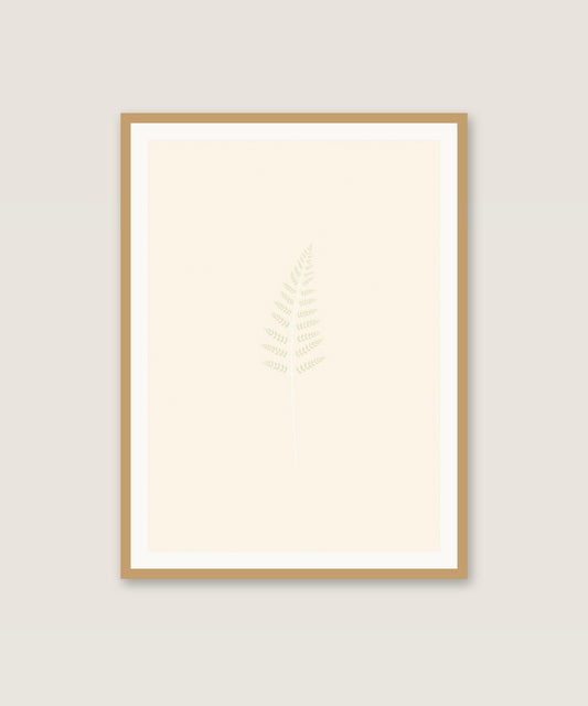 Sage Fern