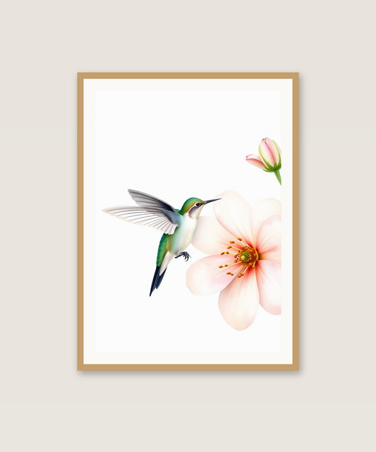 Hummingbird
