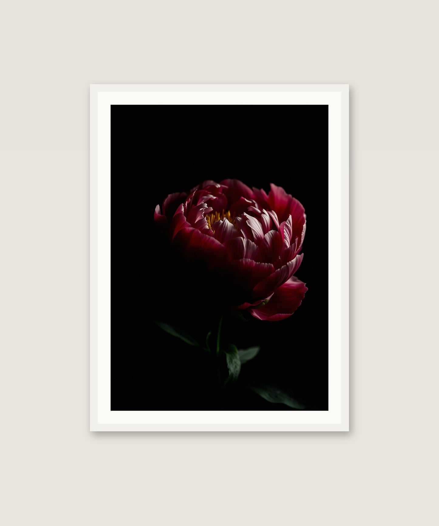 Moody Peony