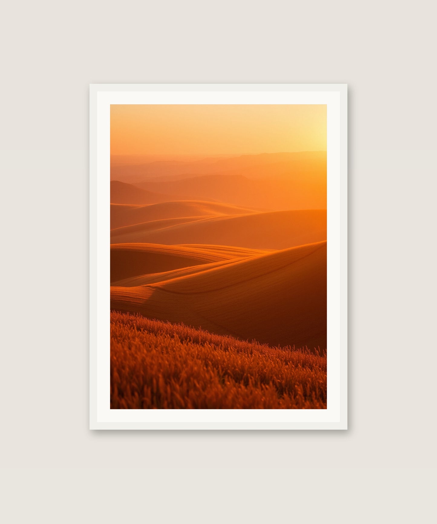 Sunset Fields
