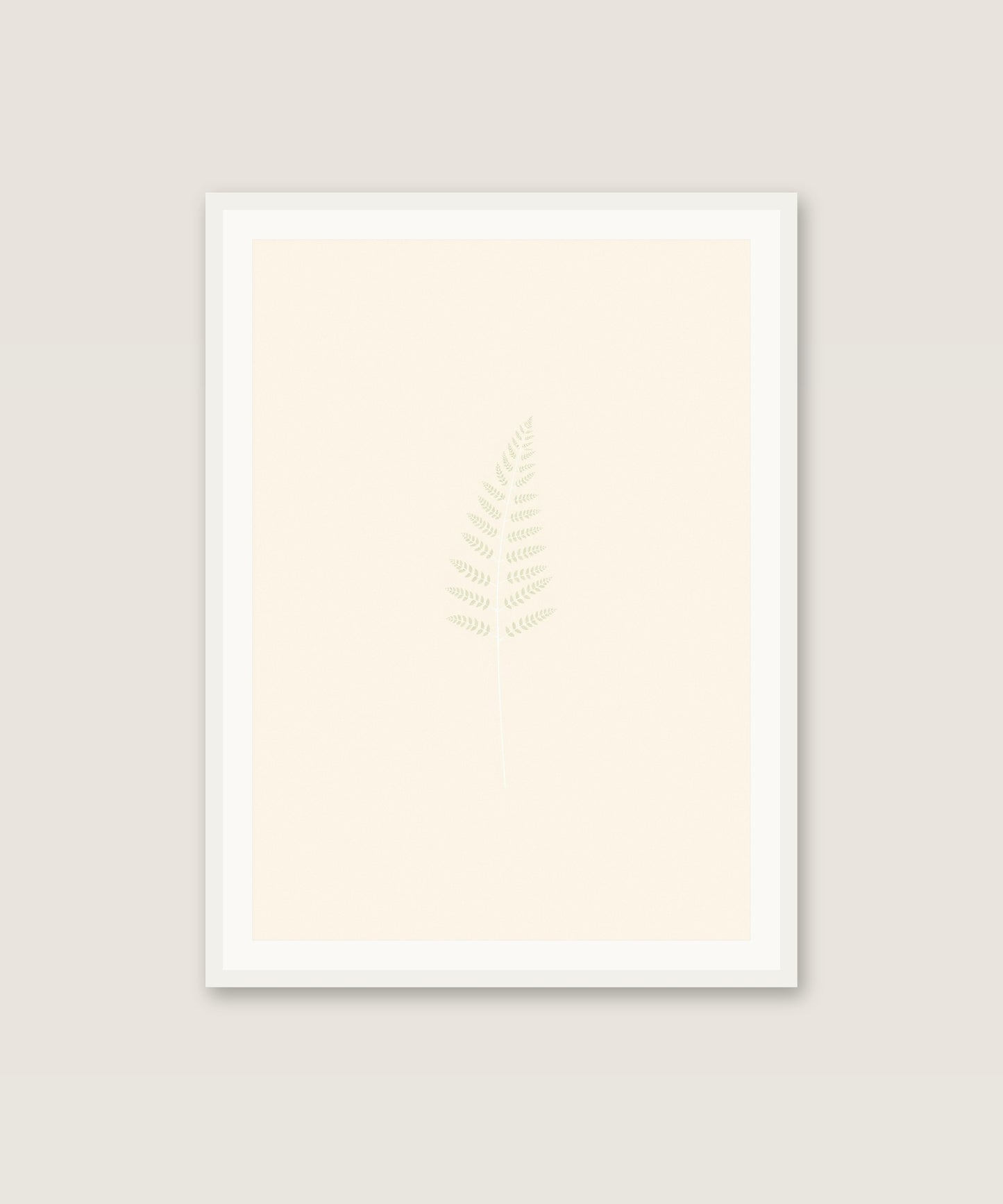 Sage Fern