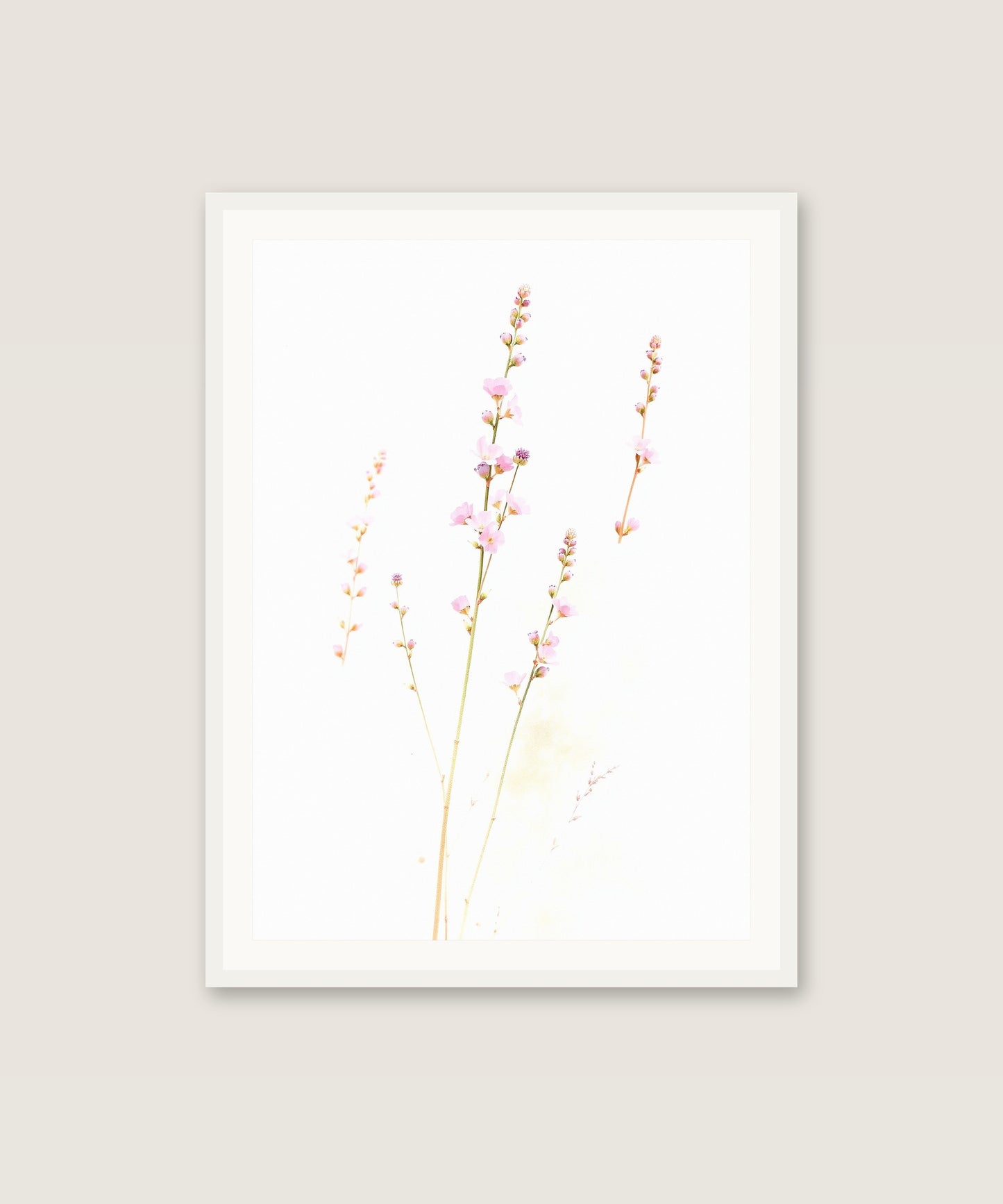 Wildflower Stems